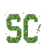SC